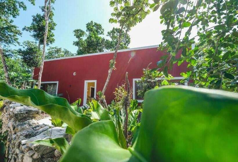 Superior suite with terrace, Wakax Hacienda  Cenote & Boutique