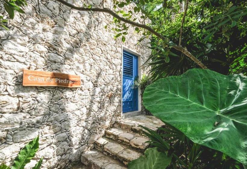 ویلای یک اتاق خوابه با استخر شنا, Wakax Hacienda  Cenote & Boutique