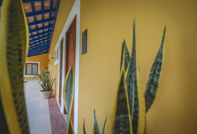 اتاق استاندارد, Wakax Hacienda  Cenote & Boutique