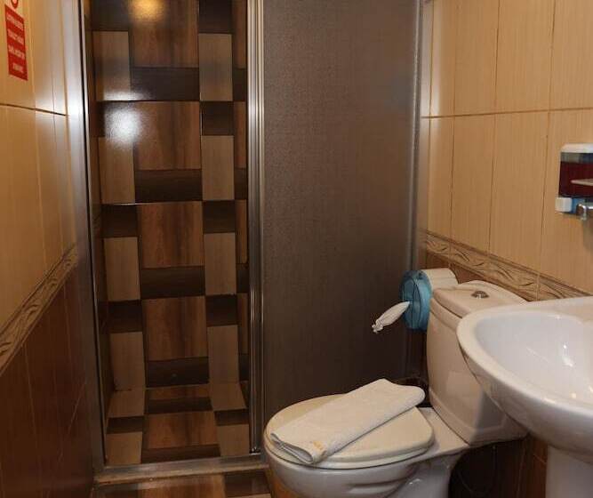 اتاق استاندارد, Adana Saray