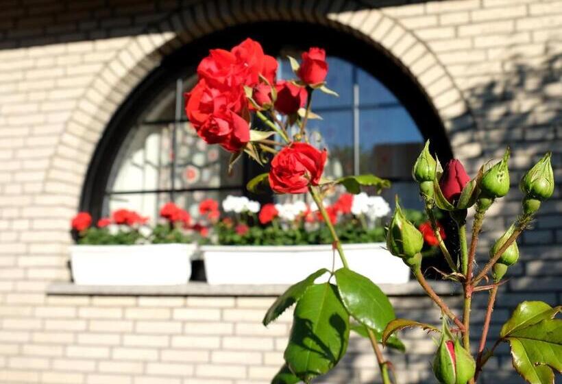 Номер Комфорт, Villa Orchard Frankfurt