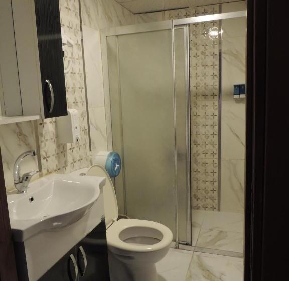 اتاق استاندارد چهار تخته, Adana Saray