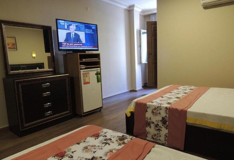 اتاق استاندارد چهار تخته, Adana Saray