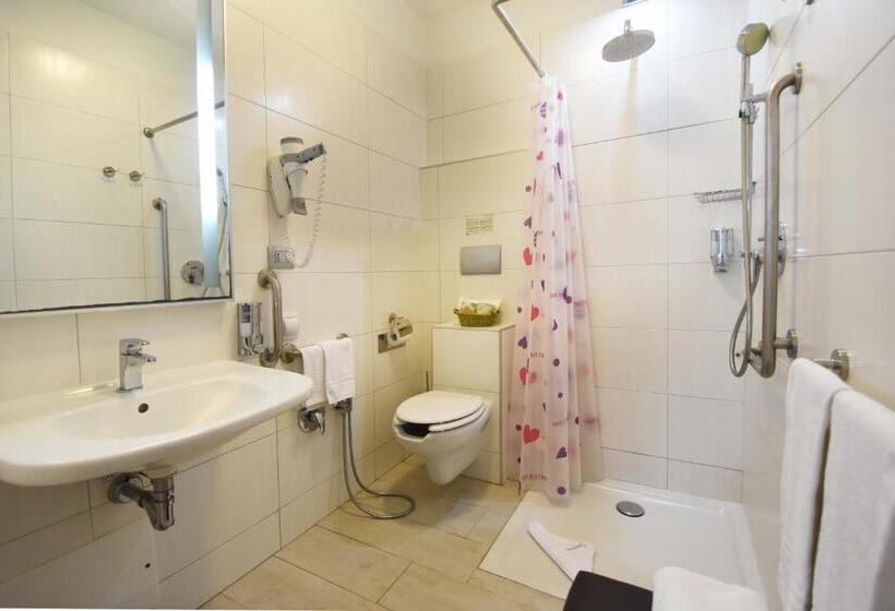 غرفة إقتصادية, Belvir