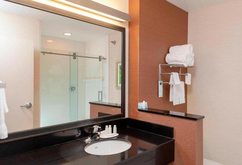 キングサイズベッドのスタンダードルーム, Fairfield Inn & Suites By Marriott Alamosa