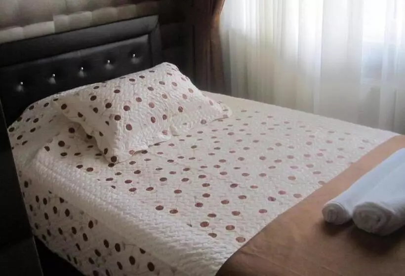 スタンダードシングルルーム, Kervan Hotel Pendik
