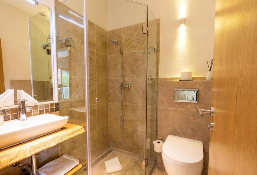 スタンダードルーム, Monte Vita Tirol   Apartments