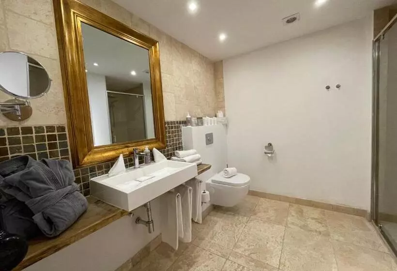１ベッドルームのデラックスアパートメント, Monte Vita Tirol   Apartments