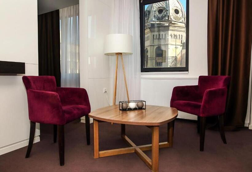 شقة ديلوكس غرفة واحدة, New City Hotel & Restaurant Niš