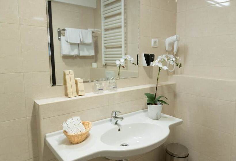 غرفة إقتصادية, New City Hotel & Restaurant Niš