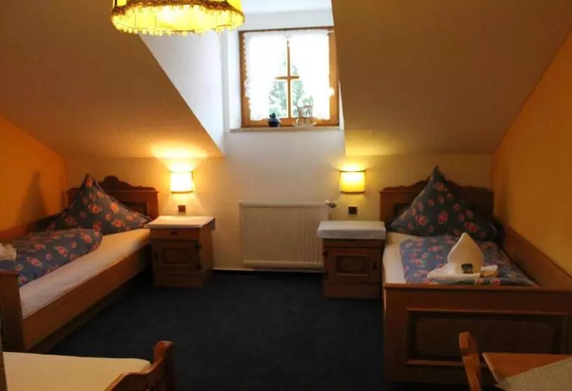 اتاق استاندارد یک نفره, Schäfflerhof