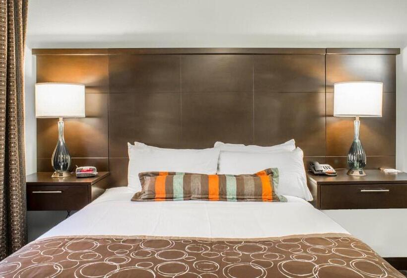 스탠다드 스튜디오, Staybridge Suites North Jacksonville, An Ihg