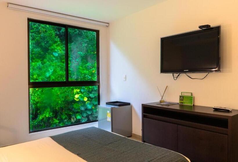 스탠다드 룸, Termales Santa Rosa De Cabal