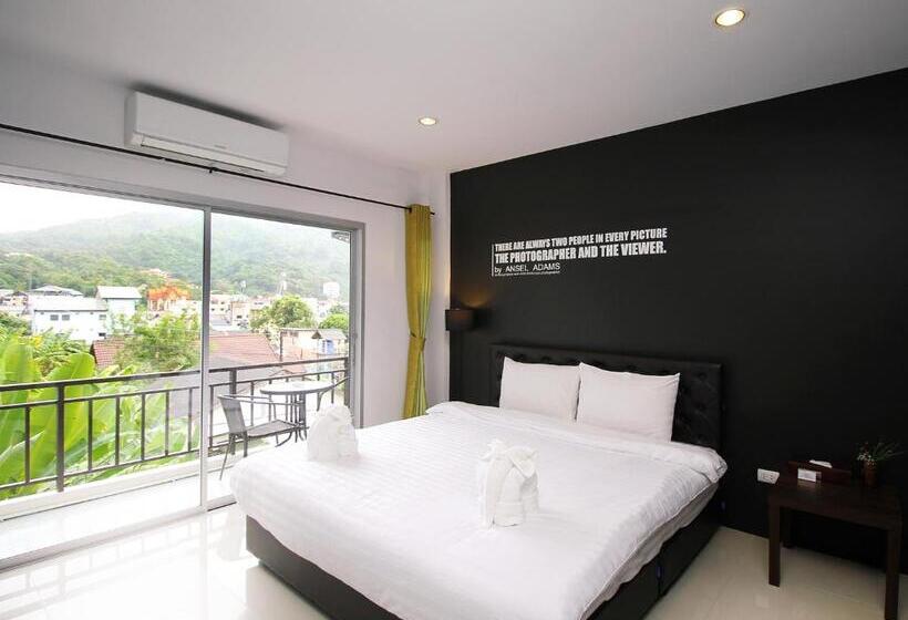 标准工作室带阳台, The Artist House