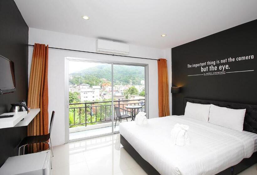 标准工作室带阳台, The Artist House