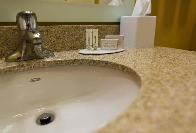 Студио Стандарт Кровать Кинг, Towneplace Suites By Marriott Lancaster