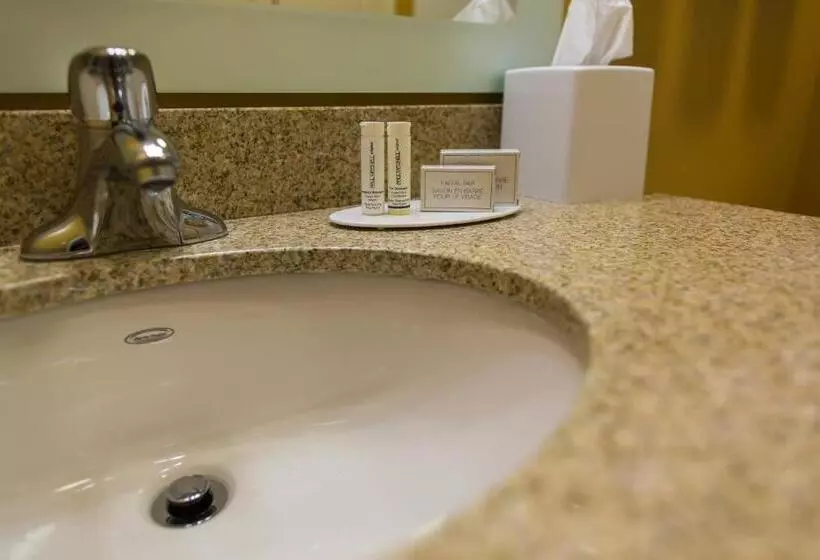 スタンダードスタジオ, Towneplace Suites By Marriott Lancaster