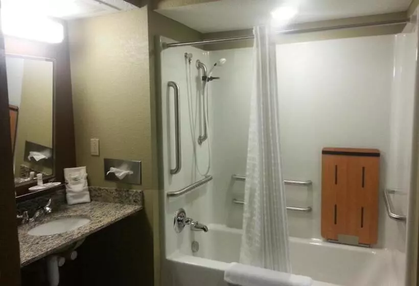 身障者適用スタンダードルーム, Microtel Inn And Suites Carrollton