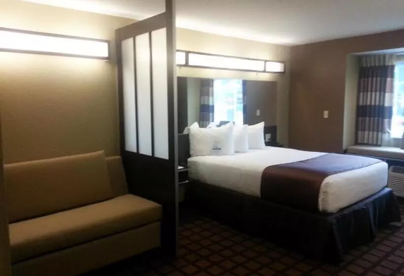 スイート, Microtel Inn And Suites Carrollton