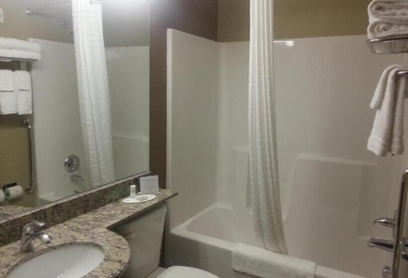디럭스 스위트, Microtel Inn And Suites Carrollton