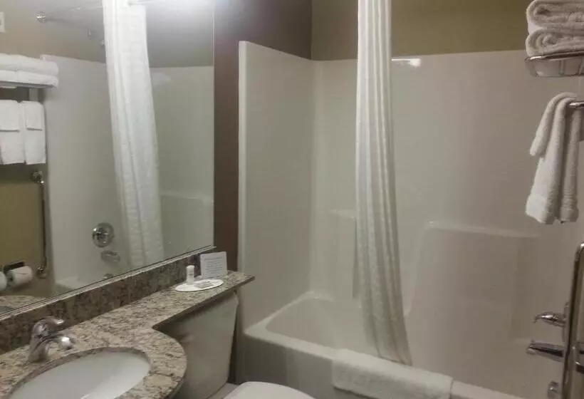 デラックススイート, Microtel Inn And Suites Carrollton