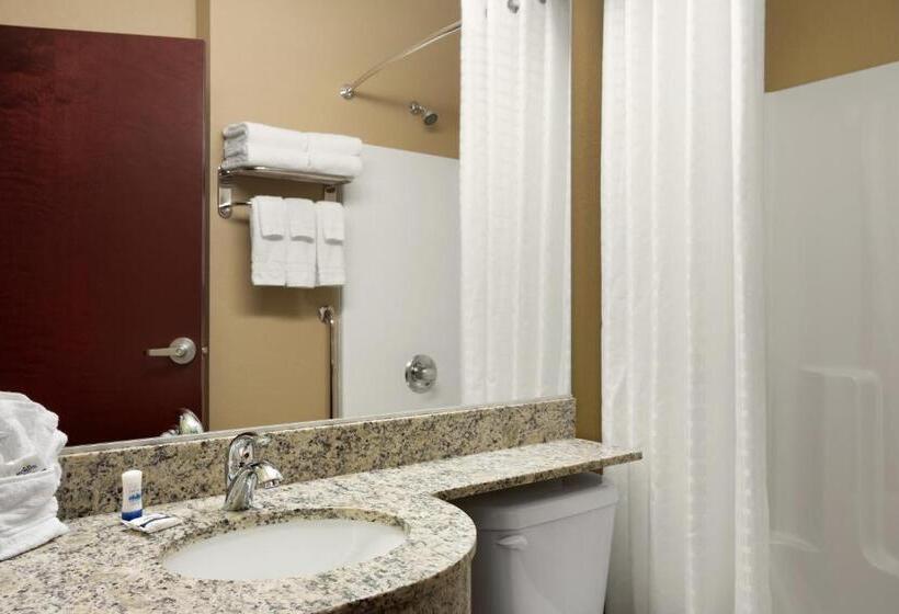 스탠다드 룸, Microtel Inn And Suites Carrollton