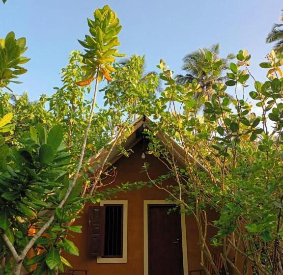 ファミリージュニアスイート, By The C  Cabanas