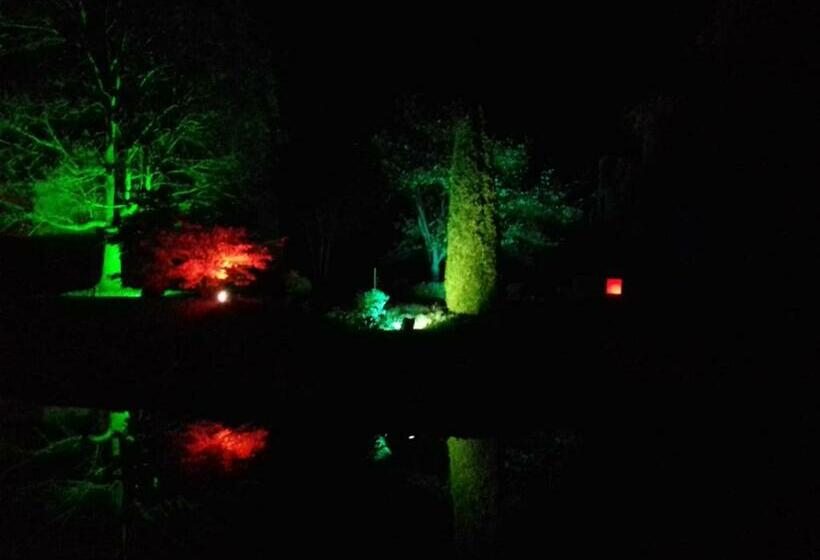 标准单人间, Gästehaus Viktoria