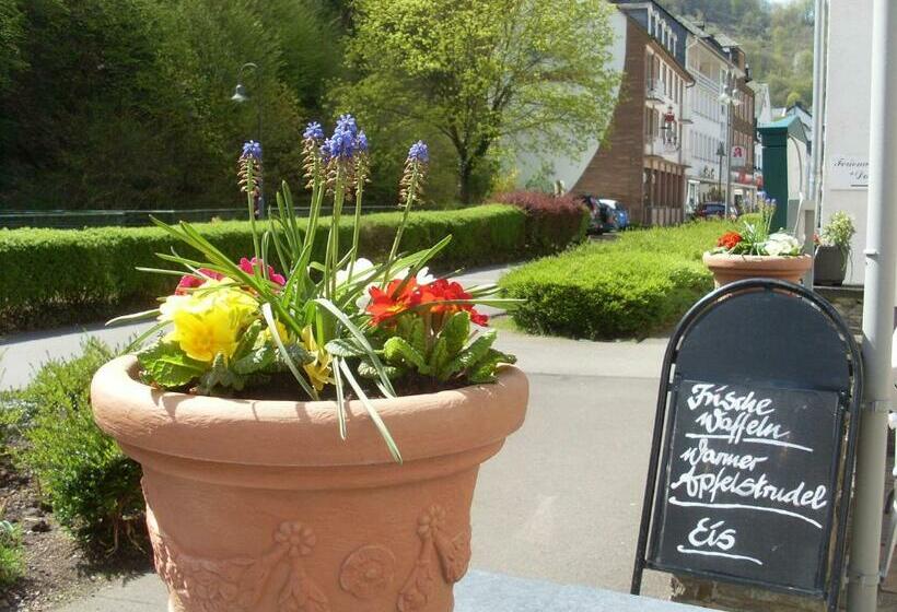 标准单人间, Gästehaus Viktoria