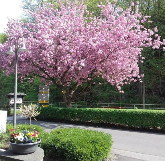 标准单人间, Gästehaus Viktoria