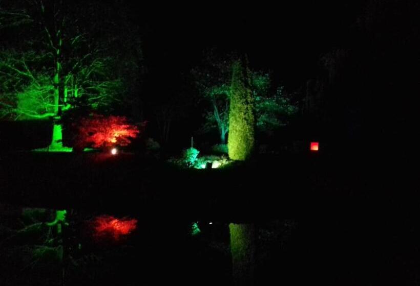 基本间, Gästehaus Viktoria