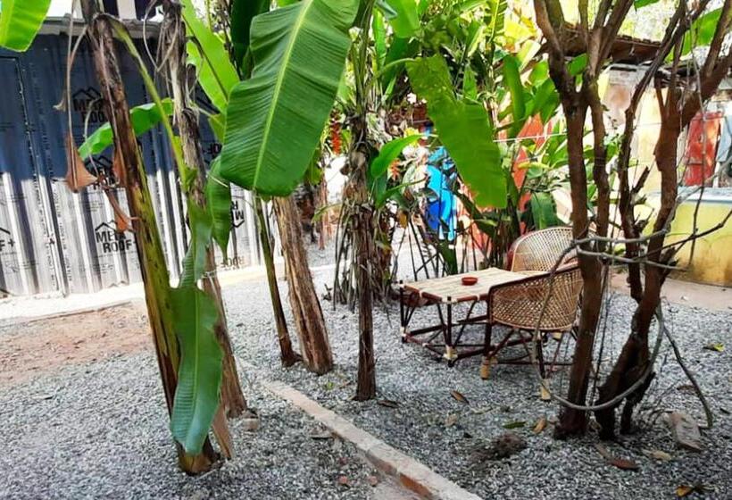 이코노미 룸, Blue Sophy Residency