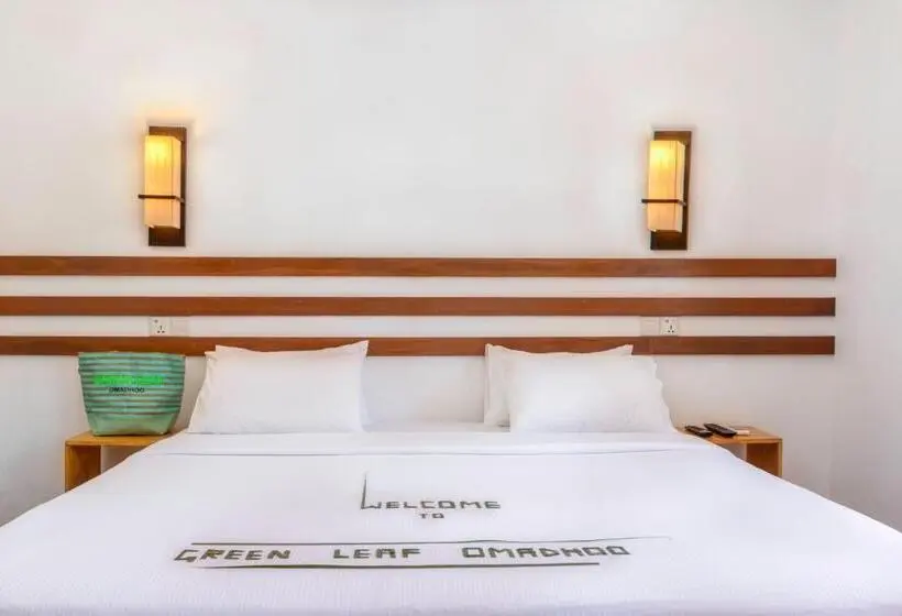 اتاق استاندارد, Green Leaf Guest House   Omadhoo