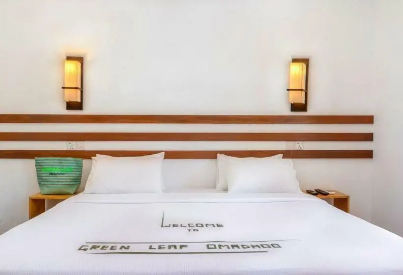 اتاق لوکس, Green Leaf Guest House   Omadhoo