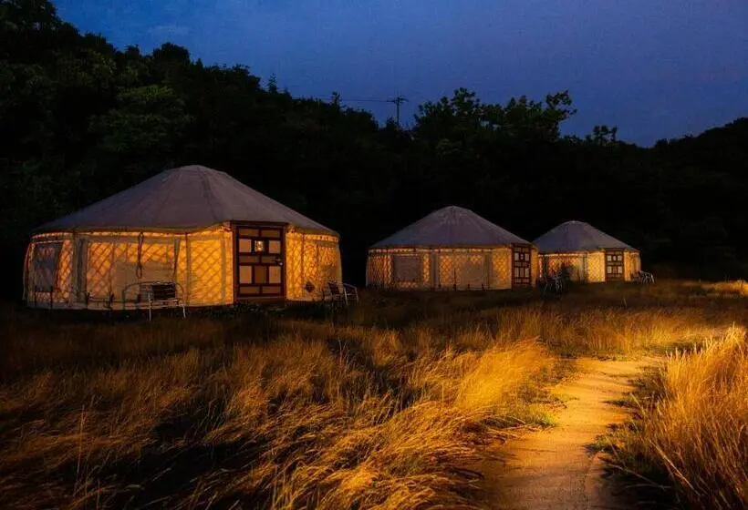 スタンダード４人部屋, 直島町ふるさと海の家 つつじ荘  Seaside Park Stay Tsutsujiso