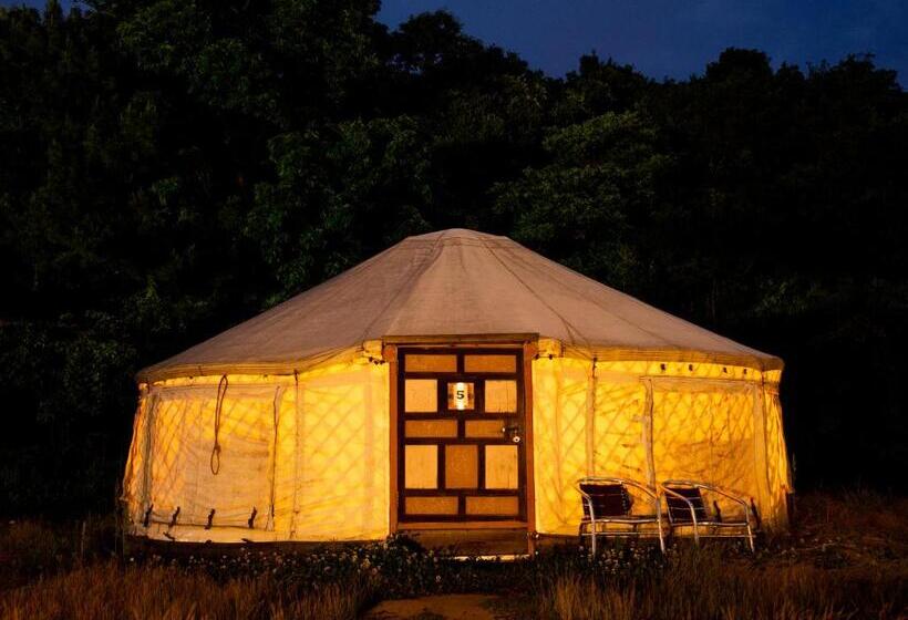 4인용 스탠다드 룸, 直島町ふるさと海の家 つつじ荘  Seaside Park Stay Tsutsujiso