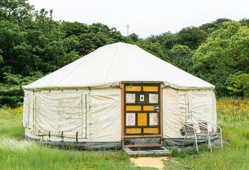4인용 스탠다드 룸, 直島町ふるさと海の家 つつじ荘  Seaside Park Stay Tsutsujiso