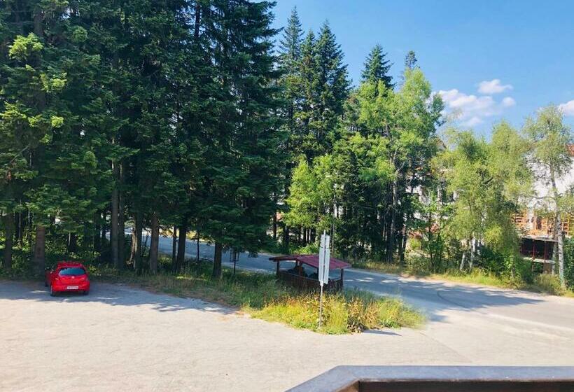 إستوديو قياسى, Studio Villa Park Premium