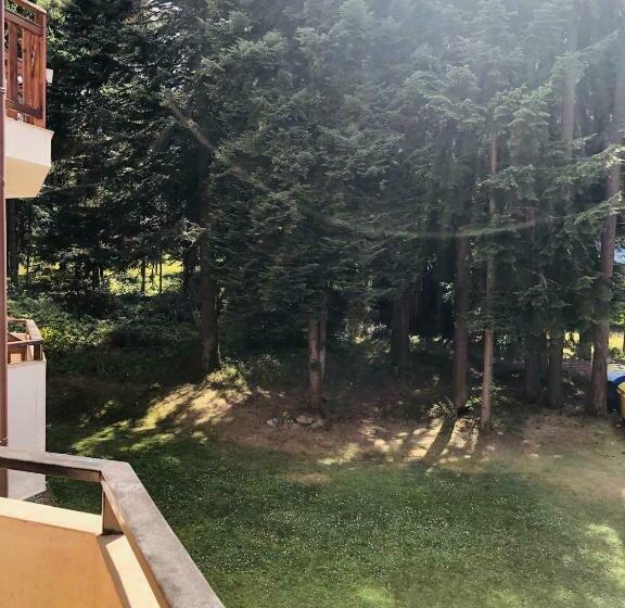 إستوديو قياسى, Studio Villa Park Premium