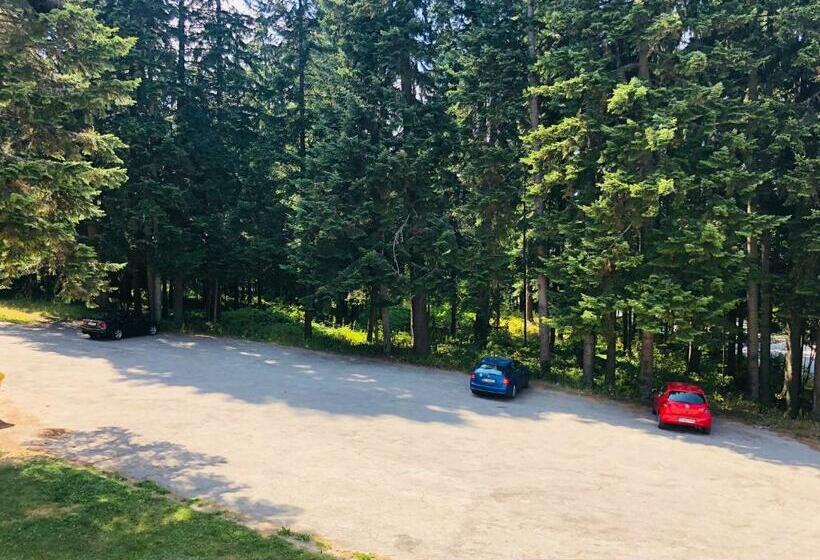 إستوديو قياسى, Studio Villa Park Premium