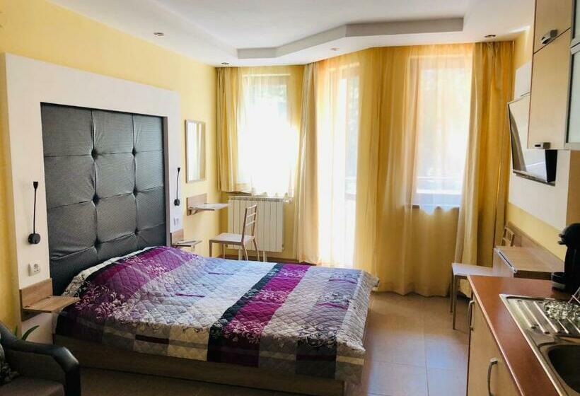 إستوديو قياسى, Studio Villa Park Premium