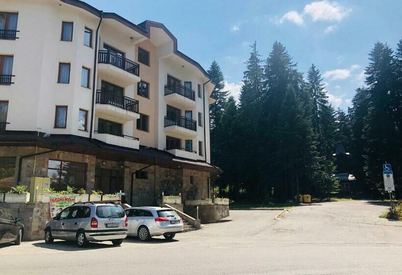 إستوديو قياسى, Studio Villa Park Premium