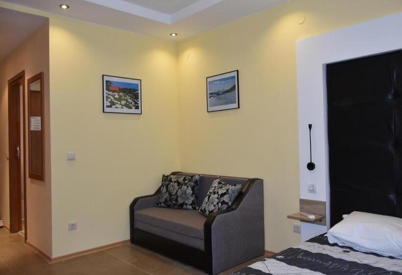 إستوديو قياسى, Studio Villa Park Premium