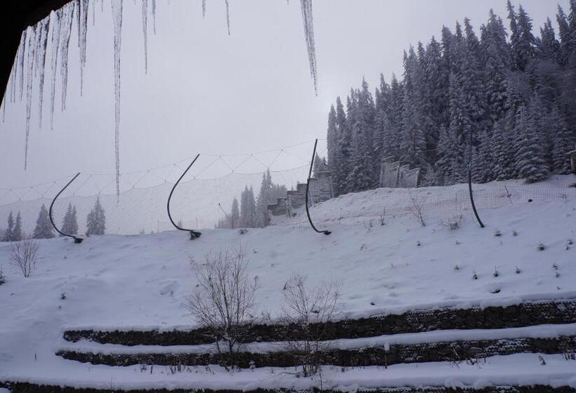 شقة غرفة واحدة مزودة بتراس, Grand Monastery Apart