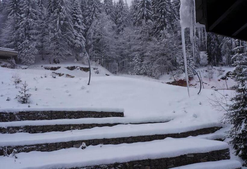 شقة غرفة واحدة مزودة بتراس, Grand Monastery Apart