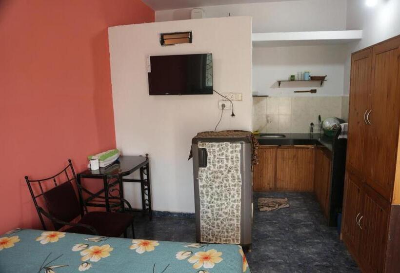 バルコニー付きスタンダードステューディオ, Dreamcatcher House & Hostel At Arambol Beach