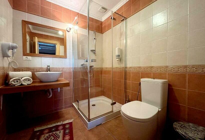 חדר סטנדרט, Pensiunea Iza