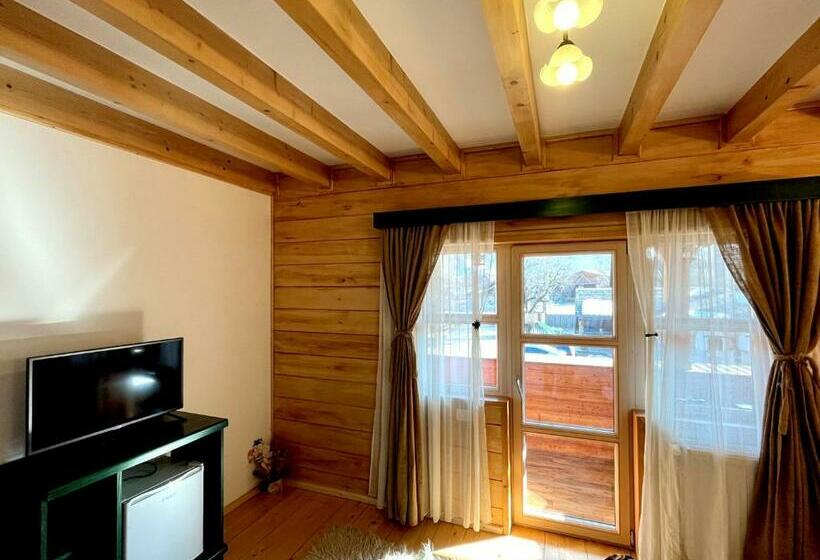 חדר סטנדרט עם מרפסת, Pensiunea Iza