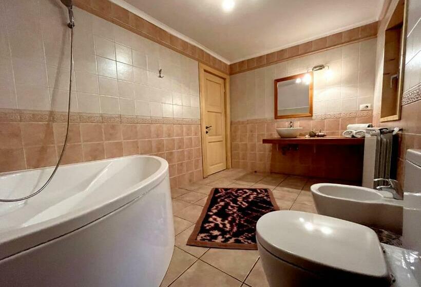 חדר סטנדרט, Pensiunea Iza