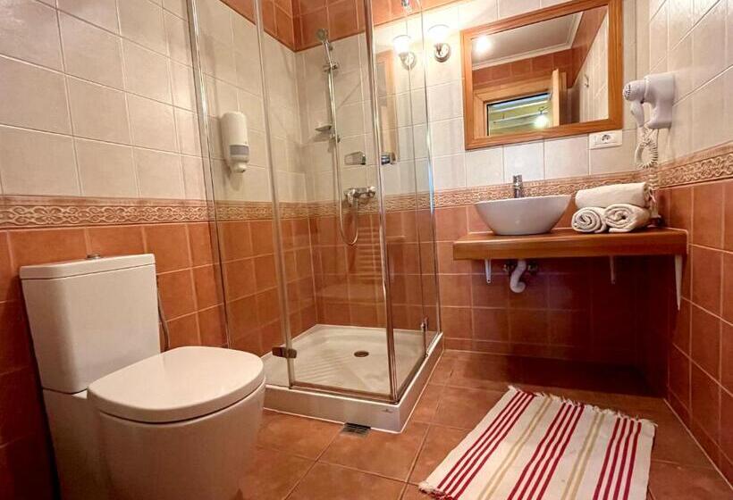 חדר סטנדרט, Pensiunea Iza